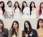 MOMOLAND dan Brave Girls Yang Resmi Bubar