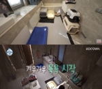 Kamar Mandi Untuk Kucing