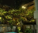 Denny Cagur-Paludarium