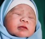 Keponakan Online Warganet