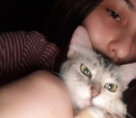 Cat Lover