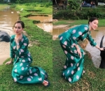 Foto Kocak dengan Kerbau