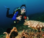 Prisia Nasution