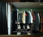 Wardrobe Nuansa Hutan