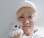 Si Cute Bookkeu Milik Seungkwan SEVENTEEN