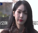 SinB VIVIZ