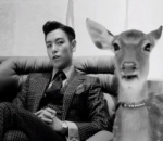 'Doom Dada' - T.O.P