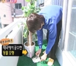 Yong Hwa Si Jahil