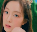 Rumor Irene Red Velvet Tinggalkan SM Entertainment 