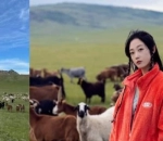 Angon Kambing