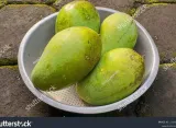 Panduan Memilih Mangga Harum Manis yang Manis dan Berkualitas