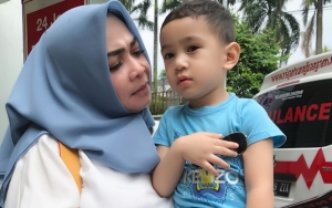 Ibunda Nagita Pelihara Kucing Mahal, Gemasnya Rafathar Ingin Pegang