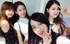 Didesain Sendiri, Unyunya Lightstick Baru Black Pink Seharga 200 Ribuan