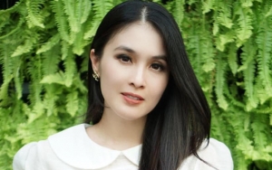 Sandra Dewi Jelaskan Alasan Marahi Netter Pria Karena Ejek Istrinya 'Gajah'