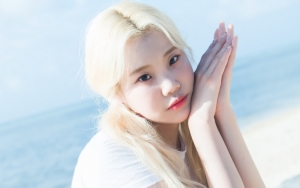 Haters JooE Momoland Lakukan Penyelidikan, Netter Dukung Sikap Agensi