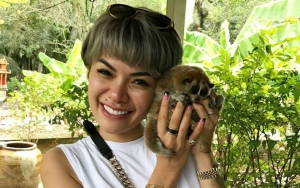 Nikita Mirzani Heran Banyak Pelakor Berhijab, Pertanyaan Tuai Kontroversi Netter