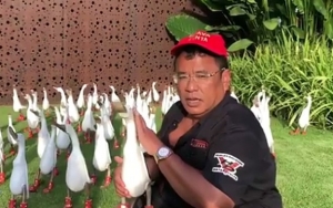 Tepati Janji, Hotman Paris Hutapea Pamer Bukti Transferan Sumbangan Rp 100 Juta