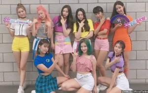 Umumkan Momoland Tak Lakukan Sajaegi, Pemerintah Korea Justru Dihujat