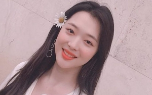 Pamer Kartu Nama sebagai CEO di SM, Sulli Bikin Netter Iri dan Tuai Komentar Nyinyir