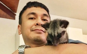 Tidur Bareng Kucing, Lengan Raditya Dika Jadi Sorotan Netter Lagi