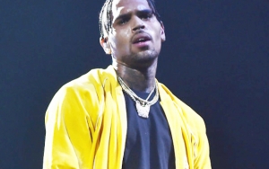 Terungkap, Ternyata Inilah Penyebab Chris Brown Ditangkap