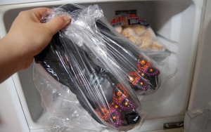 Masukkan Sepatu dalam Freezer Sebelum Dipakai