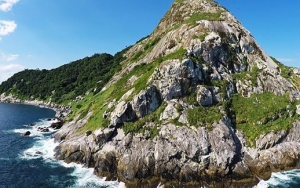 Ilha da Queimada Grande di Brasil 