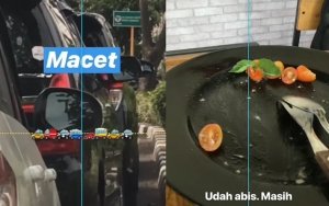 Fitur Garis Penunjuk