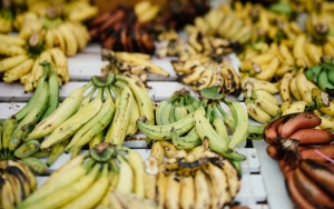 Pisang