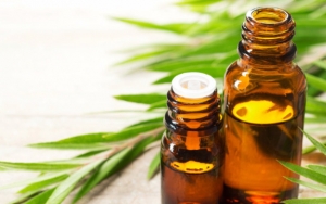 Tea Tree Oil