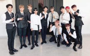 Disorot Karena Rampas Ponsel, Kelakuan Buruk Manajer Fans Wanna One Terungkap
