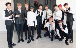 Fans Berat Wanna One adalah Bodyguard Sendiri
