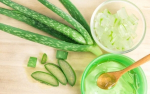Masker Lidah Buaya untuk Melembabkan Kulit