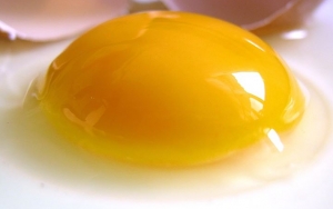 Telur Membantu Mencegah Alzheimer