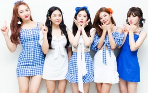 Red Velvet Umumkan Lokasi Konser Perdana di Luar Negeri, Ada Indonesia?