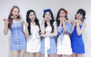 Red Velvet Bahas Rumah Wendy di Kanada dan Member yang Rentan Cuaca Panas