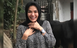Beli Sapi Jelang Hari Raya Idul Adha, Nikita Mirzani Tawari Hal Ini ke Dipo Latief