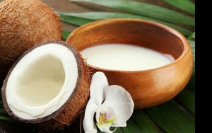 Santan Kelapa