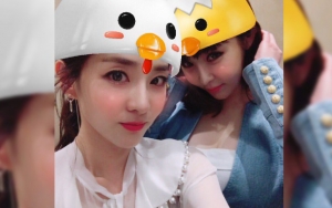 Berbalas Komentar Manis di Instagram, Dara dan Park Bom Diminta Kolaborasi