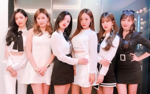 Konser A Pink di Jakarta Terpaksa Ditunda, Fans Kecewa Berat