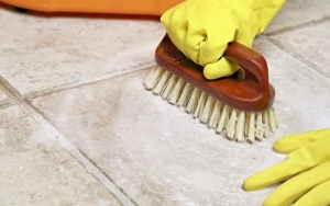 Menghilangkan Lumut dengan Mudah Menggunakan Garam