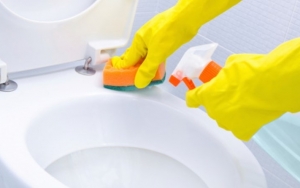 Membersihkan Kloset dengan Baking Soda atau Belimbing Wuluh