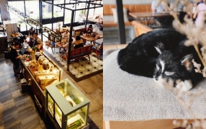 GATHER INC Bistro and Bakery
