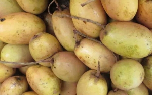 Buah Kemang