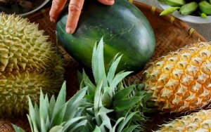 Nanas dan Durian Dapat Dikonsumsi Oleh Ibu Hamil