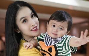 Biasa Pakai Barang Branded, Putra Sandra Dewi Pilih Mainan Sederhana Ini