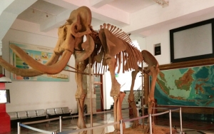 Museum Geologi, Bandung