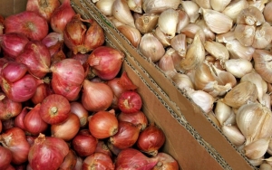Atasi Masuk Angin dengan Bawang Merah dan Bawang Putih