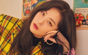 Seulgi Pamer Warna Rambut Baru, Netter Malah Debatkan Soal Ini