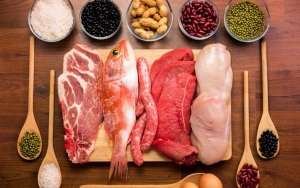 Protein Sebagai Elemen Dasar untuk Perkembangan Janin